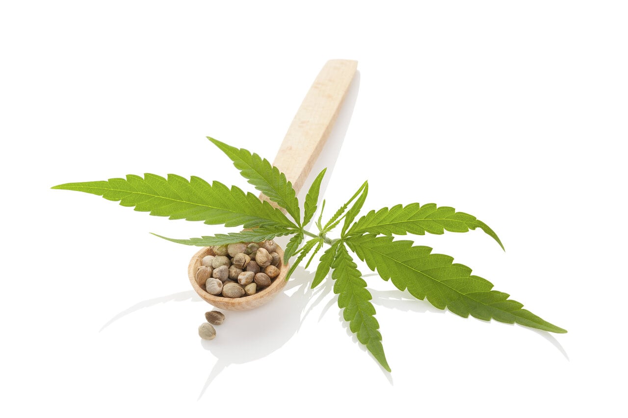Le potentiel thérapeutique du cannabis